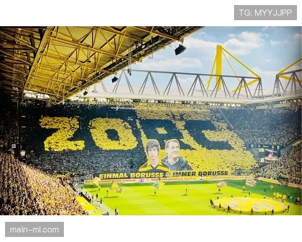 多特蒙德主场千场特别Tifo展示俱乐部历史